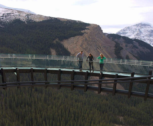Skywalk 2, вид на лесные массивы региона. 