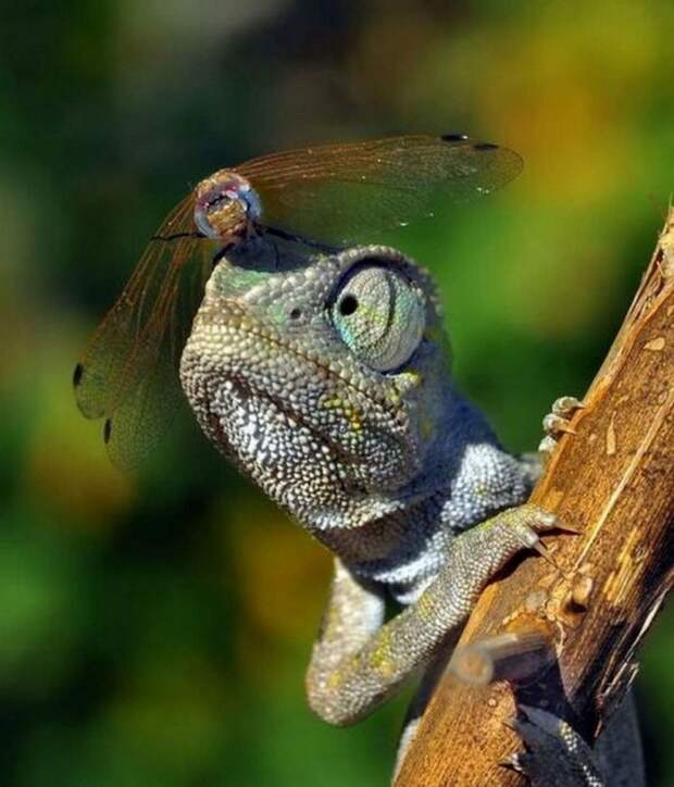 Фотоподборка