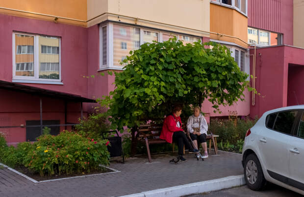 Россиян предупредили о штрафе за клумбы во дворе дома