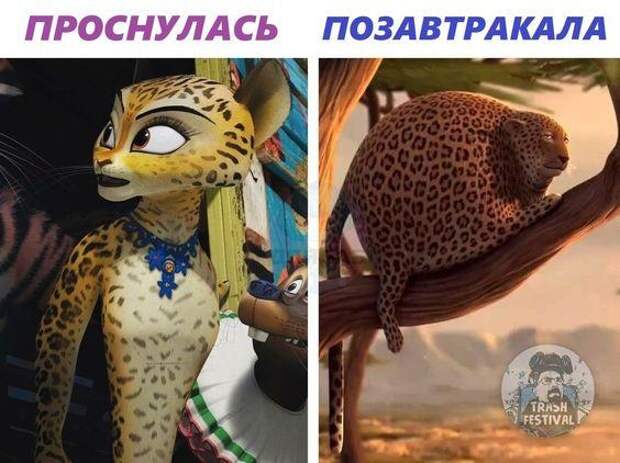 Подборка супер смешных картинок и мемов