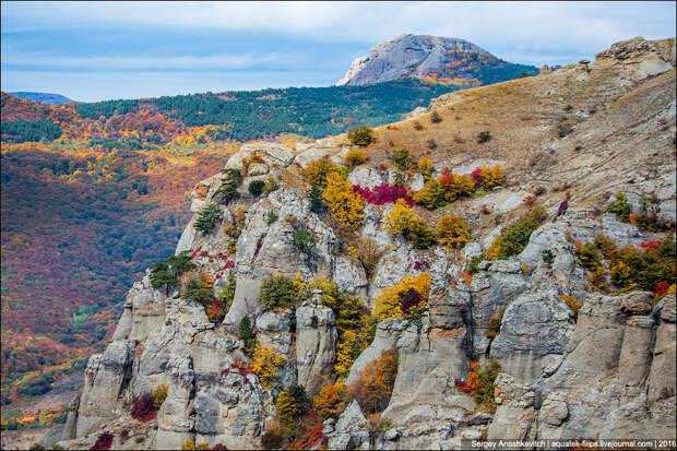 Осень в Крыму Осень в Крыму