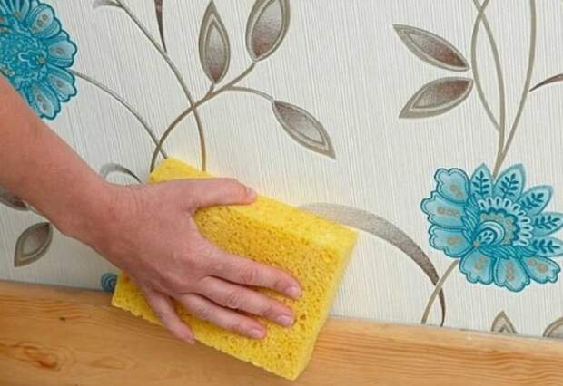 Как часто вы моете кухонные стены? Точнее, вы их вообще хоть раз мыли? / Фото: tutretsepti.ru