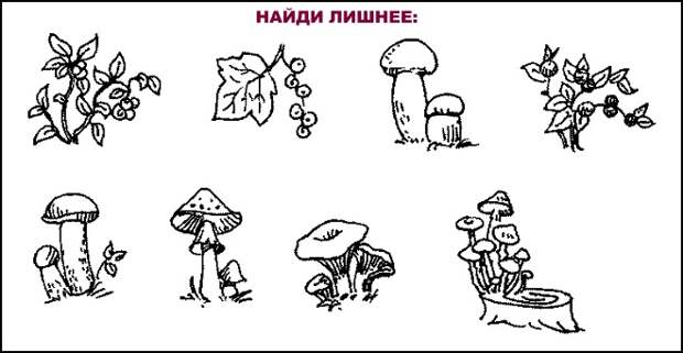 Найди лишнее