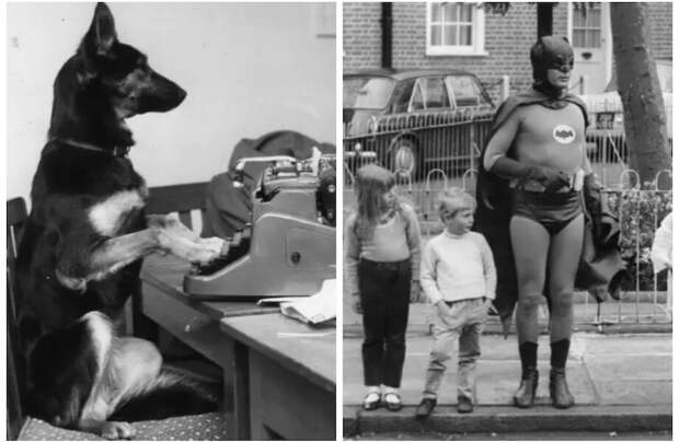 Собака шлет письма, супергерой переводит детей через дорогу: 15 забавных фото XX века