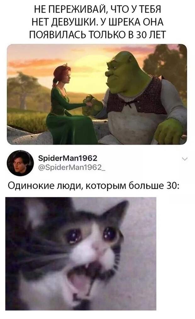 Девушка Шрека