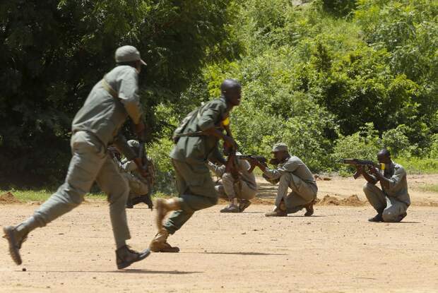 Российские дипломаты наградили высшее военное руководство Мали за вклад в развитие сотрудничества