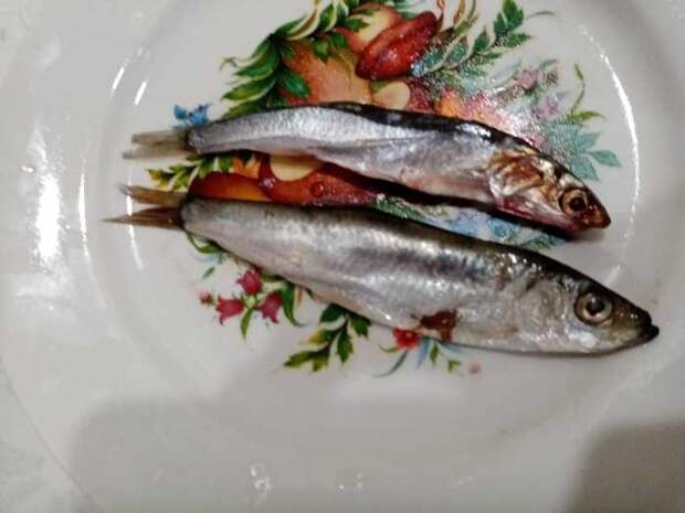 Домашнее импортозамещение. Как сделать анчоусы Кулинария, Анчоус, Готовим дома, Итальянская кухня, Заготовки, Длиннопост