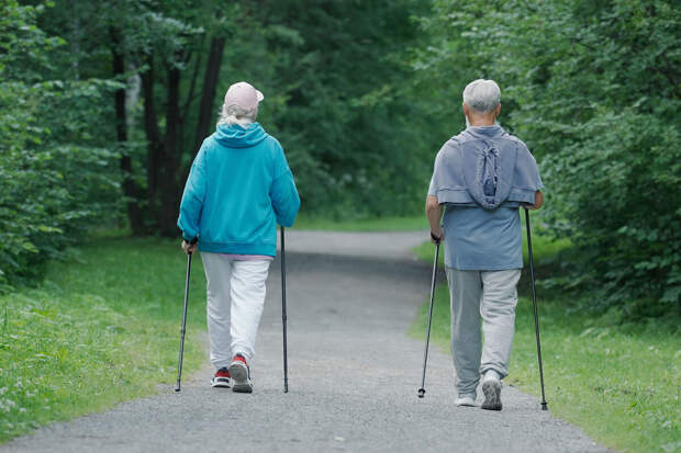 ComMed: физнагрузка снижает риск развития рака, изменяя уровни 220 белков в крови