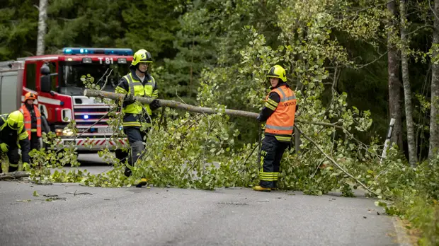 Тысячи домов в Финляндии остались без электричества из-за шторма