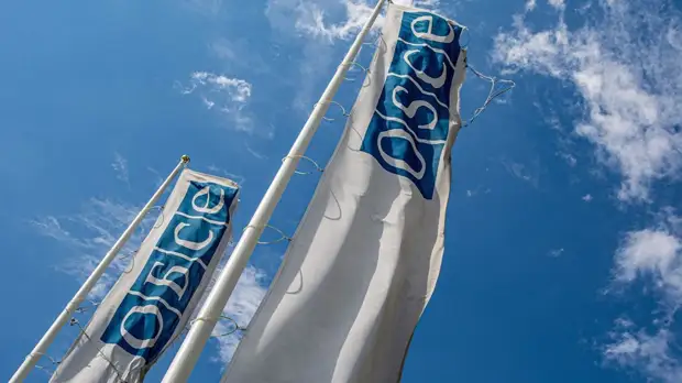 Замгоссекретаря США и генсек ОБСЕ призвали оживить диалог по евробезопасности