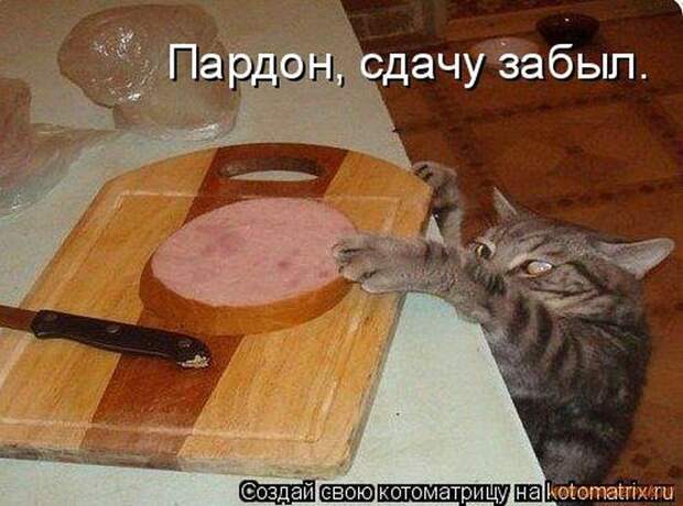 Уфф!!! Ну наконец-то! Котоматрицы великолепные, каждая с улыбкой и хорошим настроением!