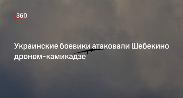 Губернатор Гладков: ВСУ атаковали Шебекино дроном-камикадзе