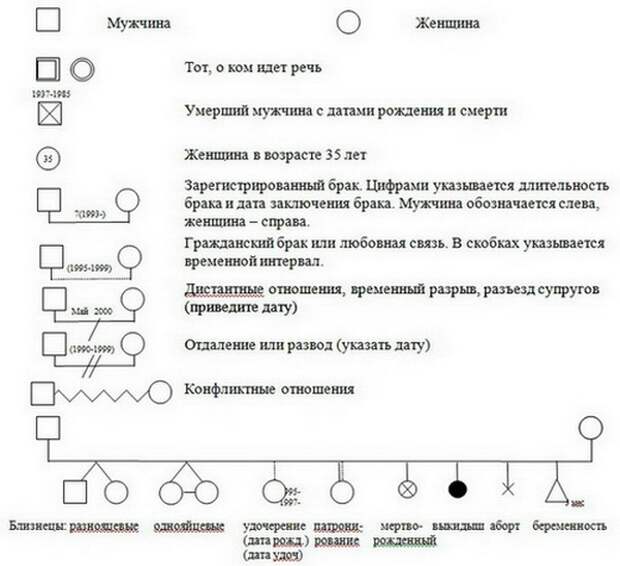 Как нарисовать генограмму семьи в ворде