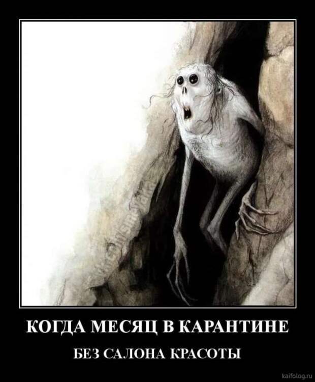Прикольные вывески. Подборка chert-poberi-vv-chert-poberi-vv-51561017092020-2 картинка chert-poberi-vv-51561017092020-2
