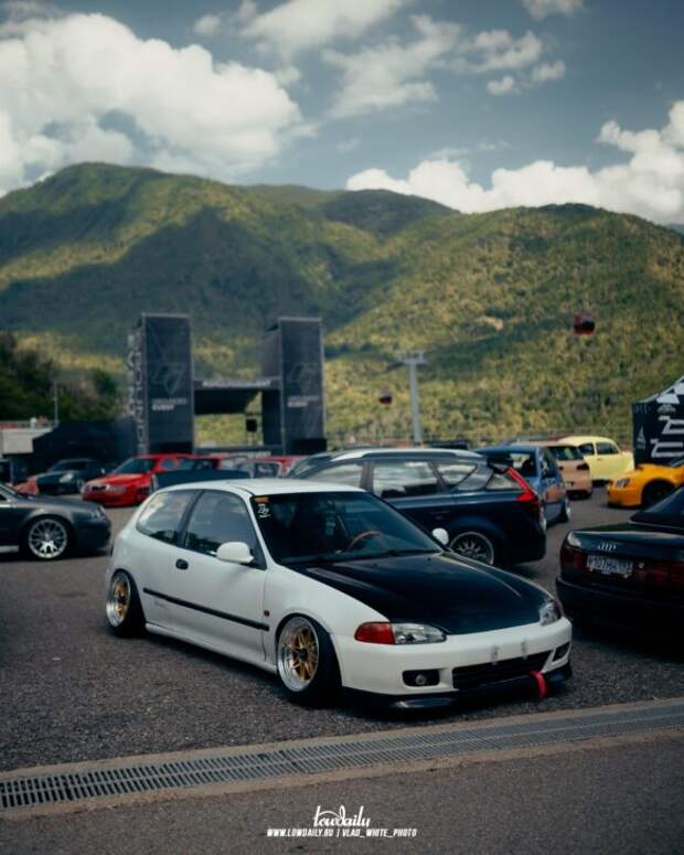 Lowdaily
