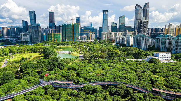 Ближе к природе: над китайским парком построили крутые пешеходные мосты город, китай, красиво, мир, мост, планета, природа, фото
