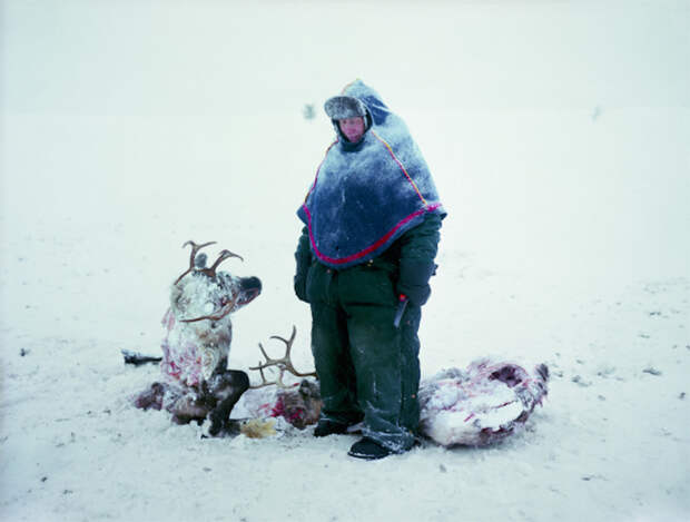Erika Larsen  "Саам у останков оленей, намертво сцепившихся рогами в драке"(2011)  выставки, женщины-фотографы, путешествия