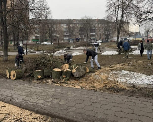 Более 7 тысяч туляков вышли на первый общегородской субботник