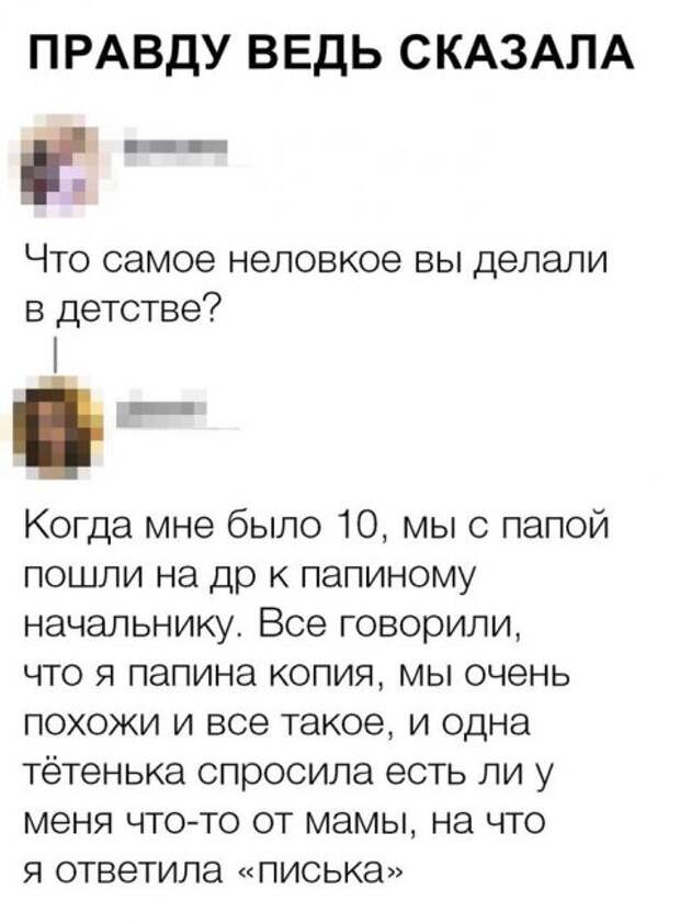 Правдоруб