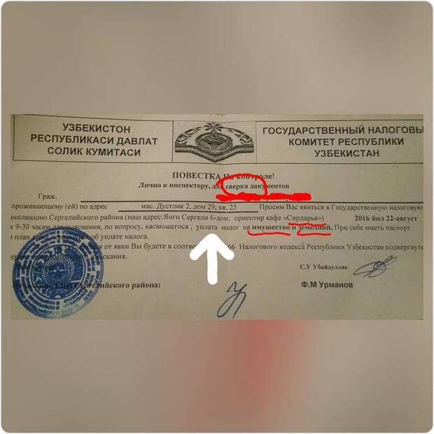 Вот почему нельзя прогуливать уроки русского языка в школе