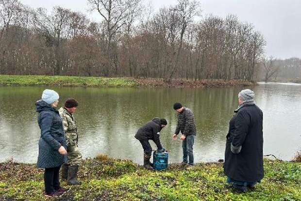 Более ста карпов выпустили в старинный пруд Уваровского округа