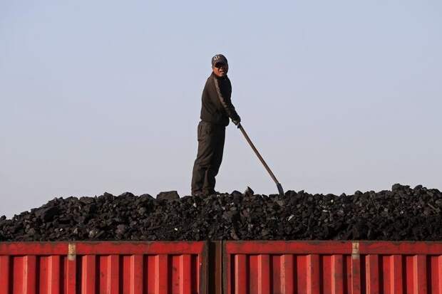 Bloomberg: даже если ЕС попросит у РФ больше угля, ее ждет разочарование