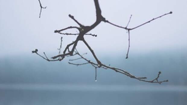 До +1 и без осадков. О погоде в Алтайском крае 22 марта