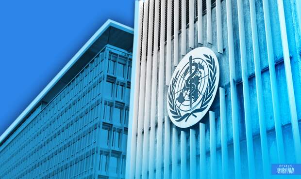ВОЗ: в предыдущие эпидемии хантавируса фиксировалась высокая смертность