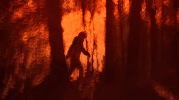 bigfoot image in the forest