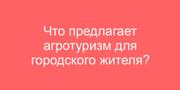 Что предлагает агротуризм для городского жителя?