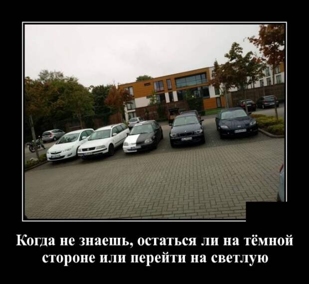 Демотиваторы (30 фото)