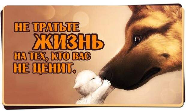 Забавные и веселые картинки с надписями для хорошего настроения (12 фото) Забавные и веселые картинки с надписями для хорошего настроения (12 фото)