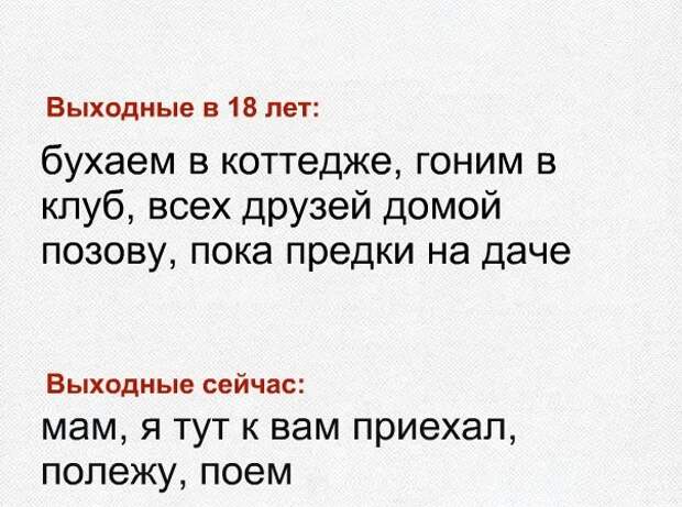 Порция настроения добрый день, картинки, мемы, смех, смешные