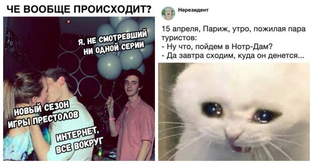 Перлы из социальных сетей на самые актуальные темы Перлы из социальных сетей на самые актуальные темы