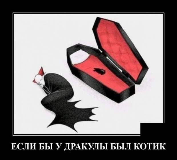 Демотиватор про кота