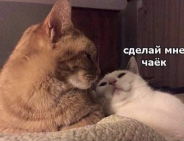 такие вот картинки