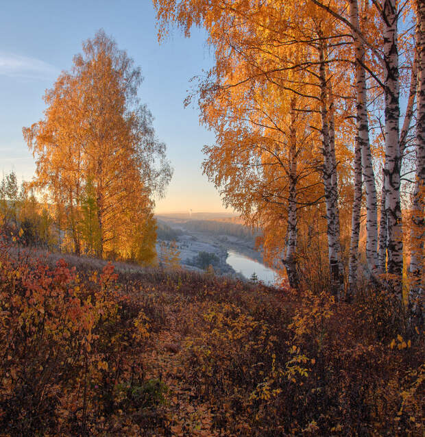 Осень на золотых берегах