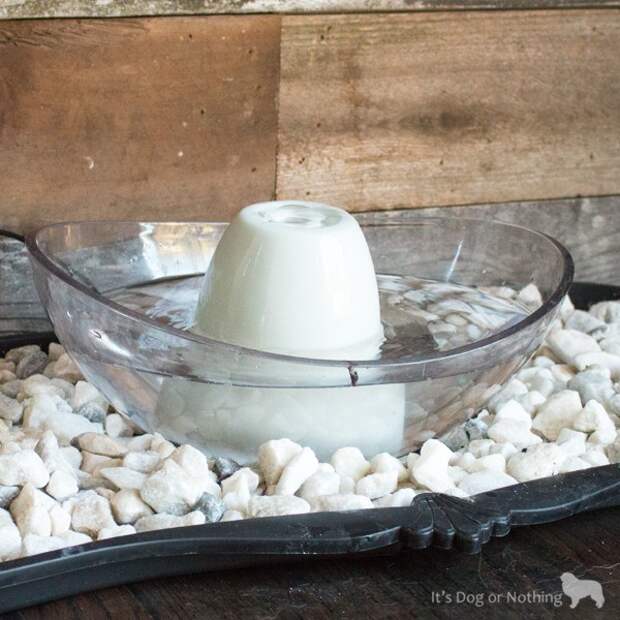 With far too many pets suffering from dehydration, especially during the summer months, we wanted to bring attention to National Pet Hydration Month. With the help of our pals over at PetSafe we were able to transform our mucky water bowl area to a beautiful home accent that even I want to drink out of!