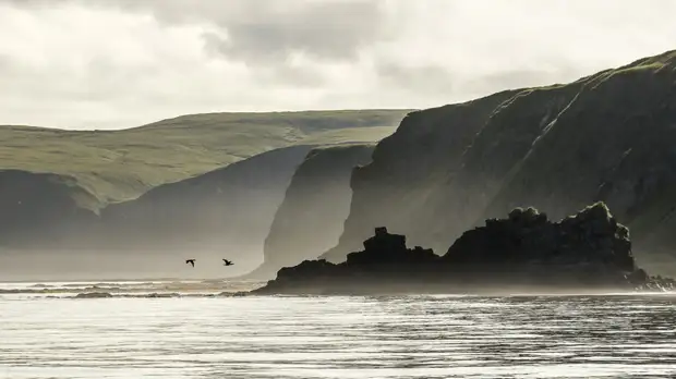 В Кремле выразили несогласие с заявлением премьера Японии по Южным Курилам