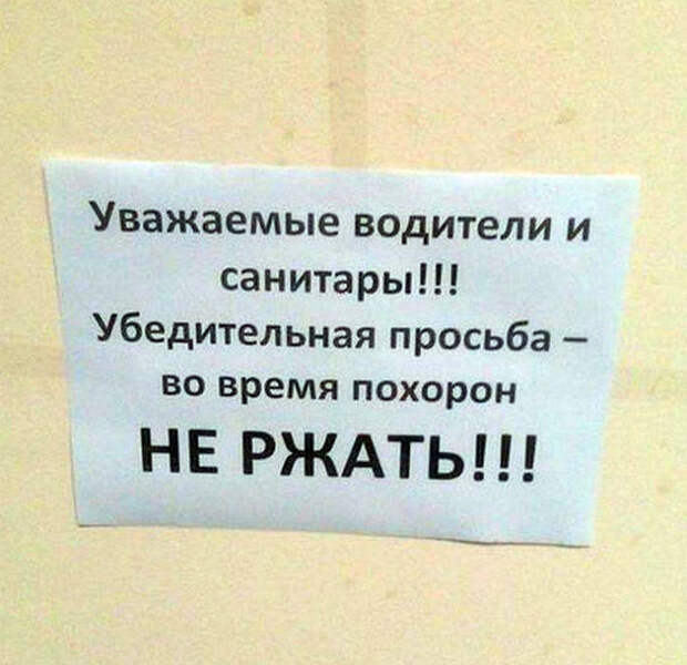 «А напевать можно?»