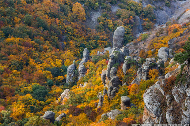 Осень в Крыму Осень в Крыму