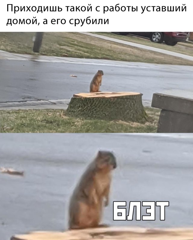 www.vsyako.net