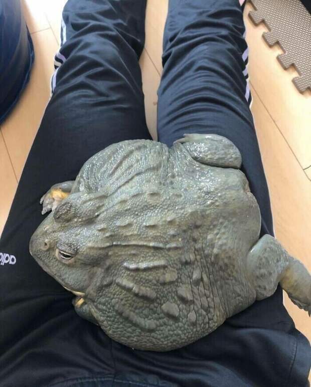 50. 50.