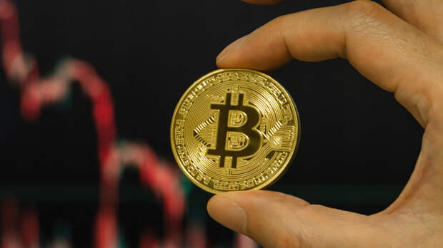 Аналитик Шнейдерман допустил падение цены биткоина до $33 тысяч