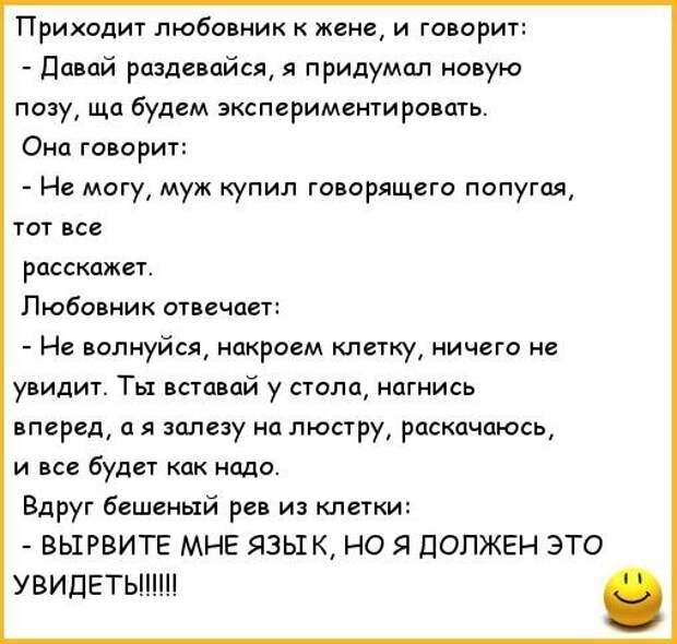 Пришел любовник. Анекдот про попугая. Анекдоты про позы. Анекдот про попугая и бабушку. Анекдот про говорящего попугая.