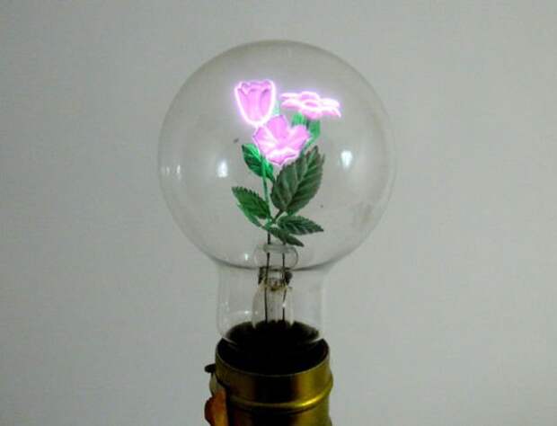 Aerolux03-light-bulbs5