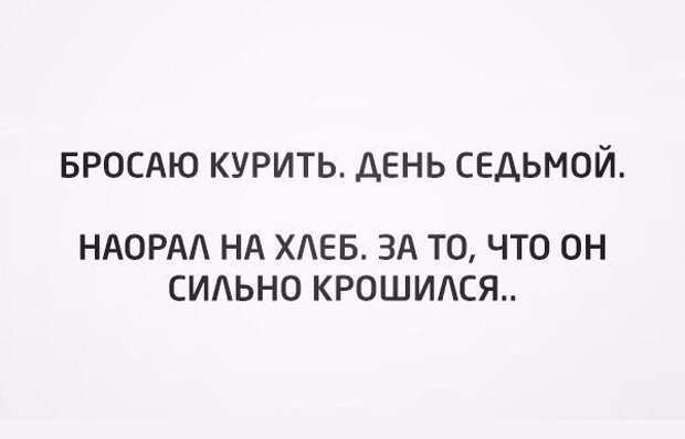 Смешные картинки с надписями Смешные картинки с надписями прикол, юмор