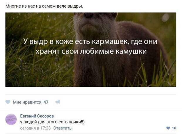 Подборка интересных и смешных картинок