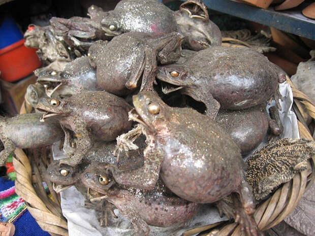 Рынок для ведьм в Ла-Пас