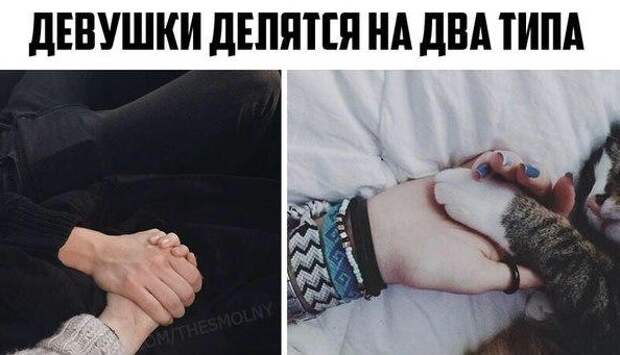 Девушки всегда делятся на 2 типа Девушки всегда делятся на 2 типа девушки, прикол, юмор